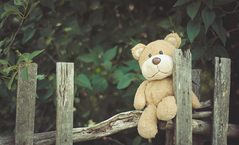 teddy bear