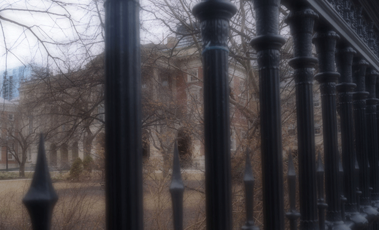 The Law Society of Ontario