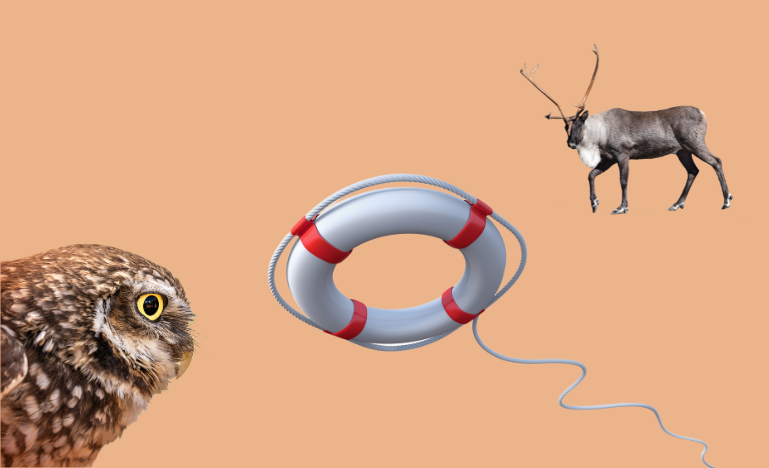 Biodiversity