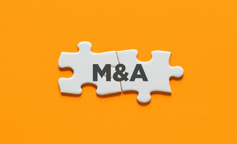 two pieces of a puzzle