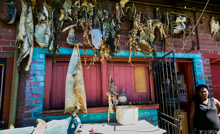 Traditional Medicine Marketplace in Johannesburg