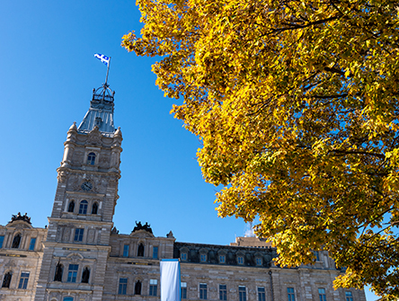 Historic stone building with a tall clock tower and a flag atop, set against a clear blue sky. A vibrant tree with golden autumn leaves fills the right side.