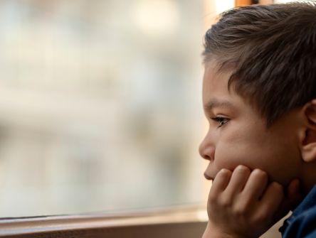 Child looking out a window