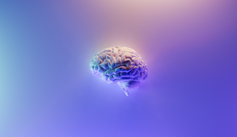 Brain
