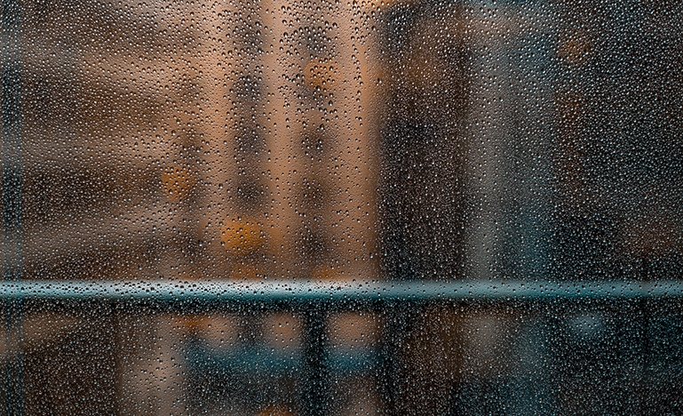 rainy window