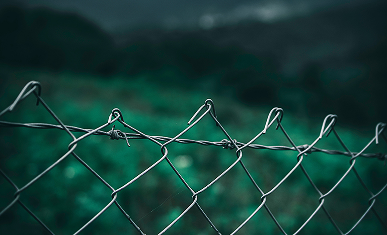 fence