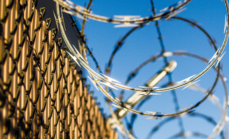 fence