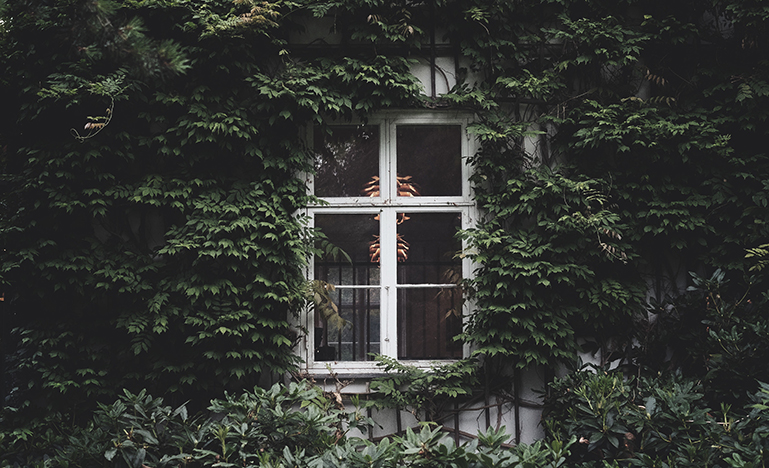 window