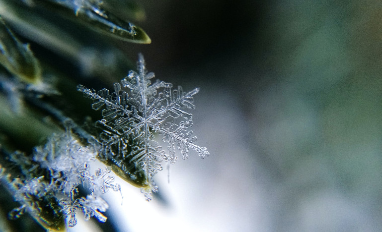 Snowflakes