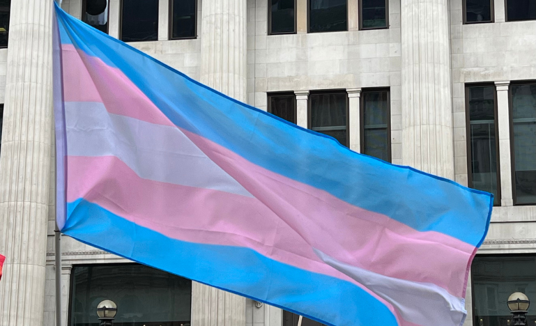 Transgender pride flag