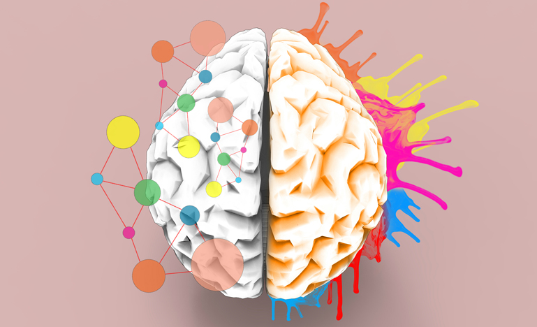Brain left and right creativity functions