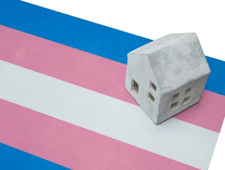 A small house on a trans flag