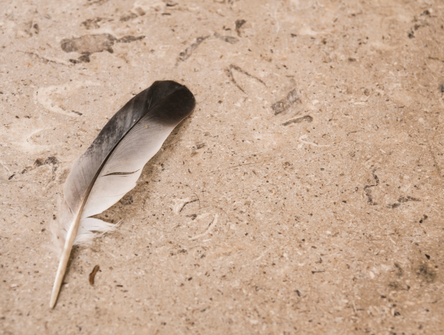 Une plume sur une surface en marbre