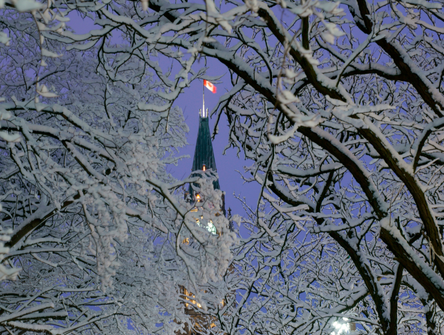 The Peace Tower surrounded by snow-covered trees