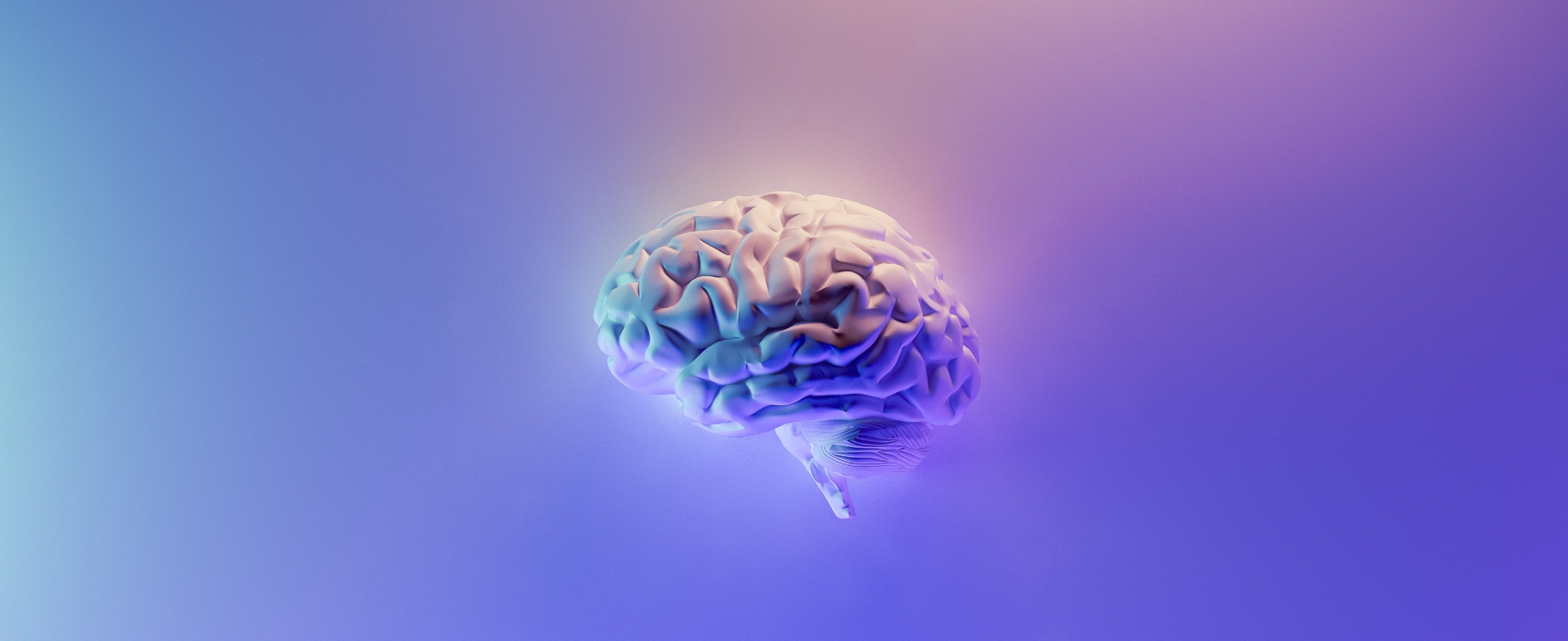 Brain