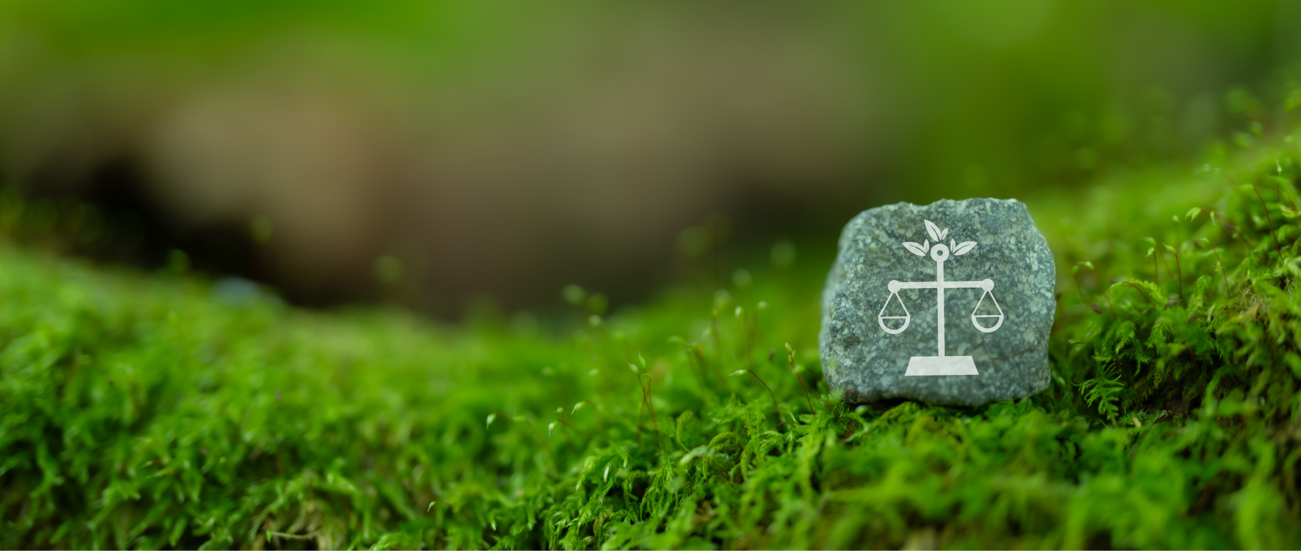 The scales of justice on a rock on grass