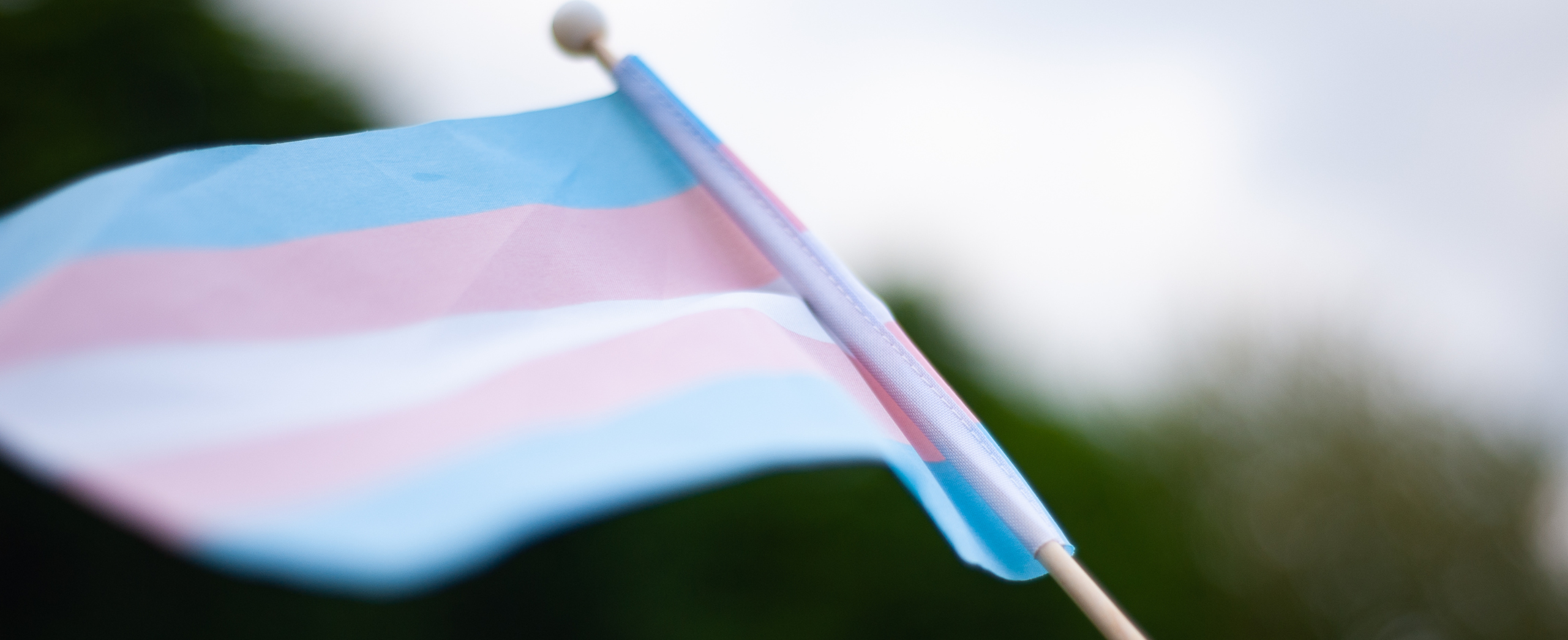 A hand waves a trans flag