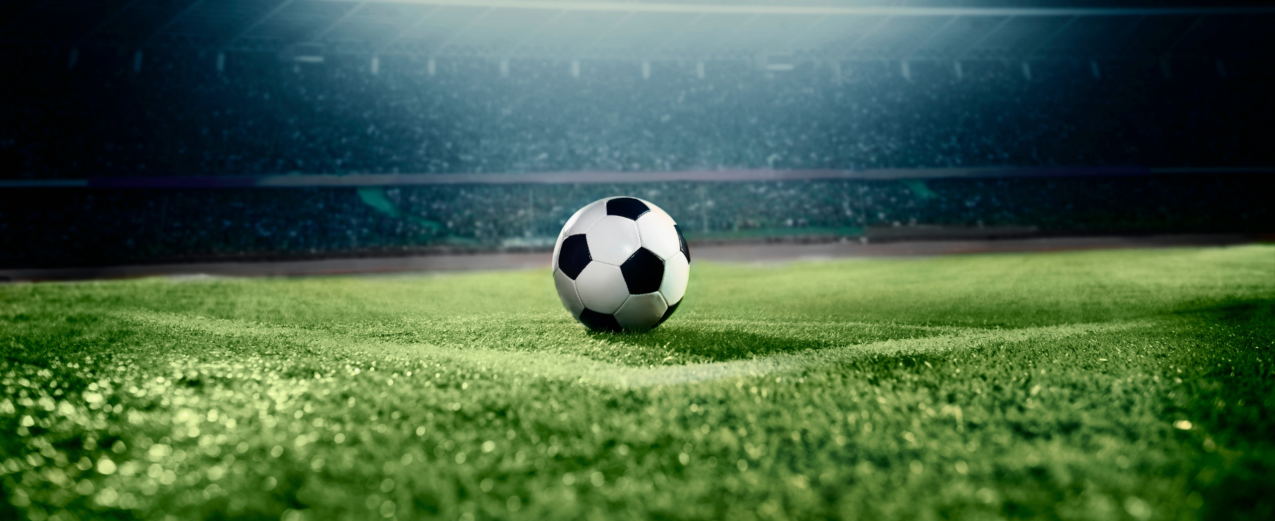 A soccer ball on a field